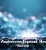 Passkey Weaknesses Exposed: How To Stay Secure